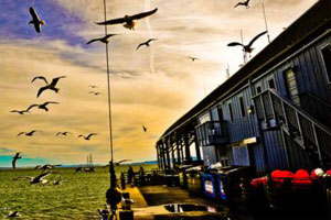 实实在在创收的电话测压网站