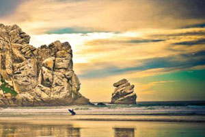 释放企业潜力的短信轰在线网页版入口